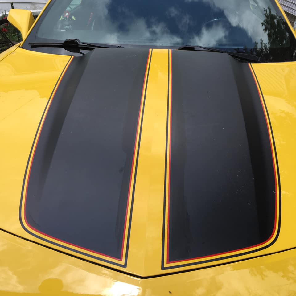 Pinstripes by Julie Fournier on Mustang