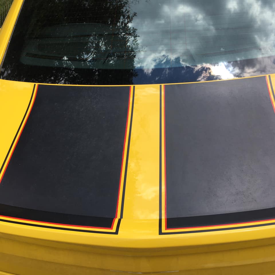Pinstripes by Julie Fournier on Mustang